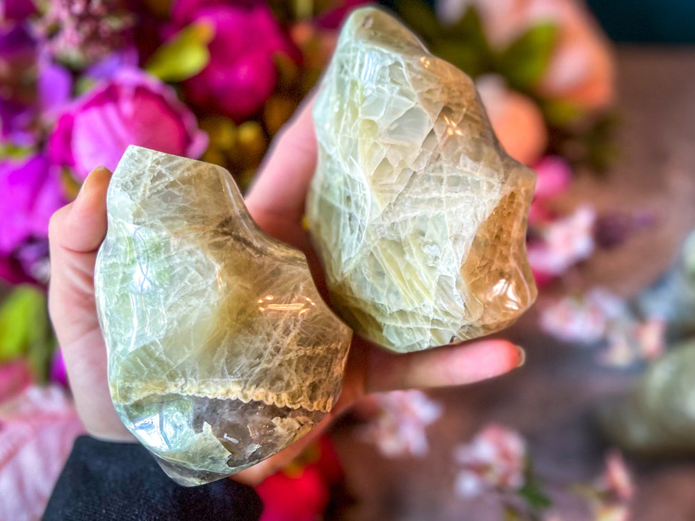 Sweet Yellow Moonstone Flames (ONLINE ORDER ONLY)