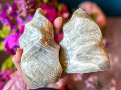 Sweet Yellow Moonstone Flames (ONLINE ORDER ONLY)