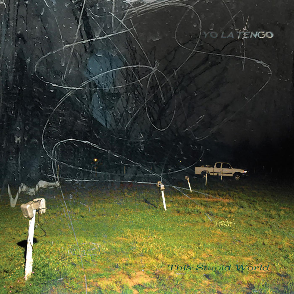 This Stupid World [CD] (ONLINE ORDER ONLY)
