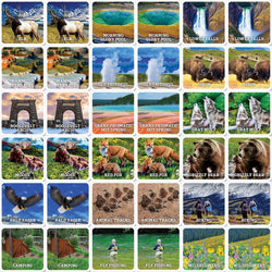 Jr. Ranger - Yellowstone Matching Game (ONLINE ORDER ONLY)