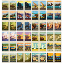 Yellowstone National Park Memory Game (ONLINE ORDER ONLY)