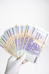 Zimbabwe Ten Billion Dollar Bill (ONLINE ORDER ONLY)