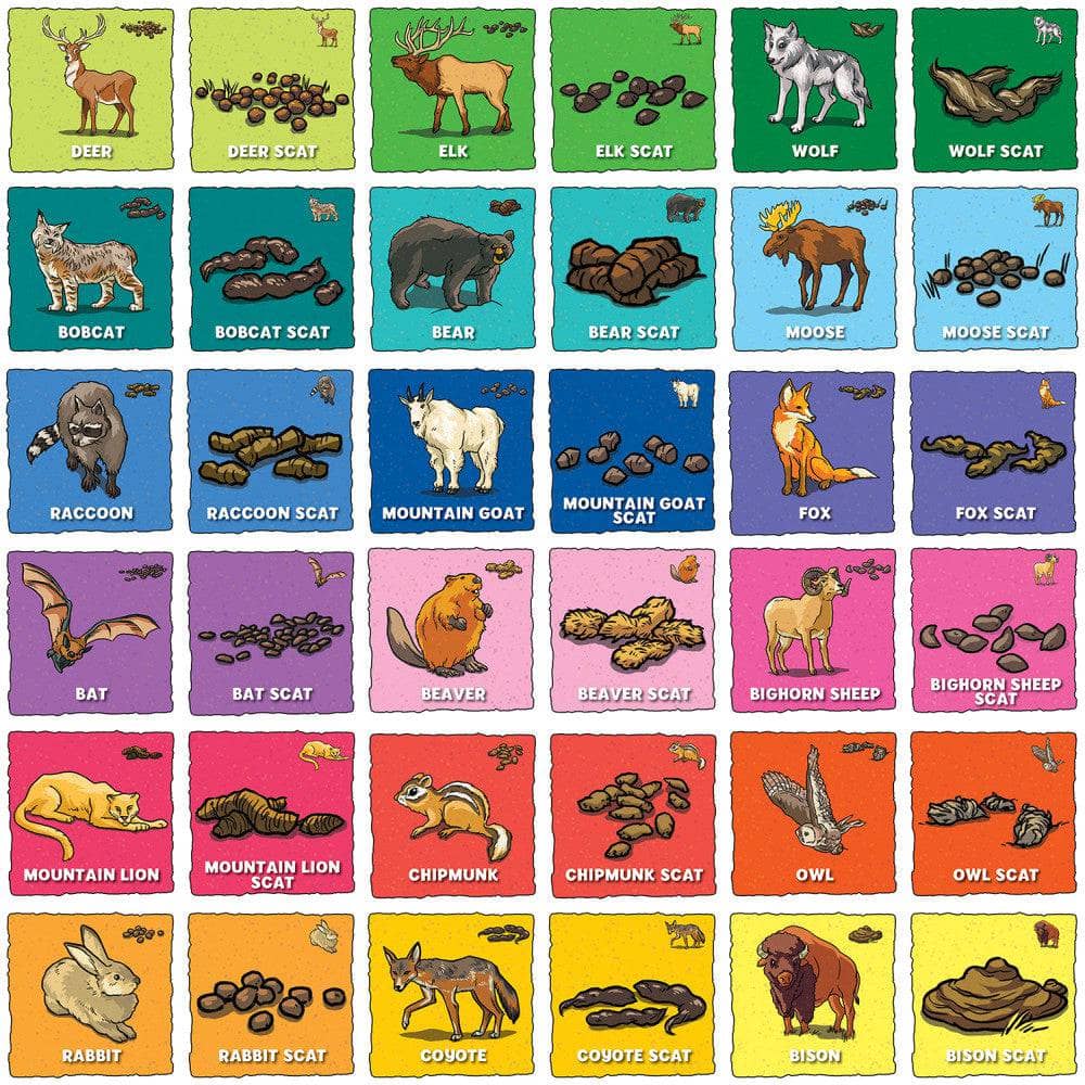 Animal Poop Matching Game (ONLINE ORDER ONLY)