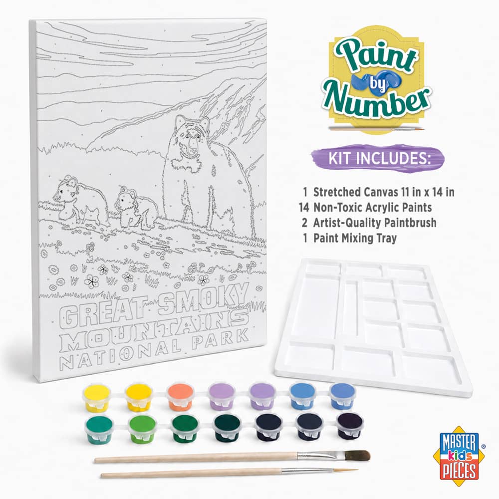 National Parks - Great Smoky Mountains Paint by Number (ONLINE ORDER ONLY)