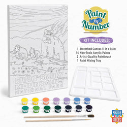 National Parks - Great Smoky Mountains Paint by Number (ONLINE ORDER ONLY)